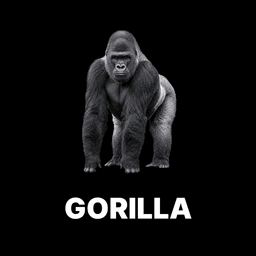 Gorilla