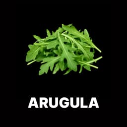 Arugula