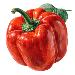 Paprika