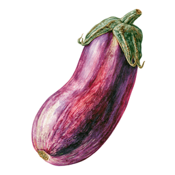 Eggplant