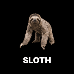 Sloth