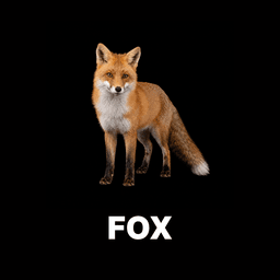 Fox