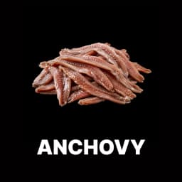 Anchovy