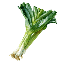 Leek