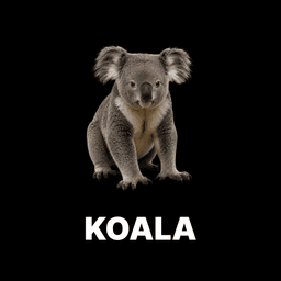 Koala