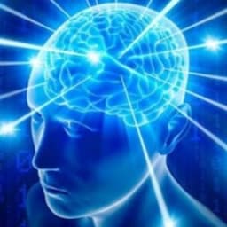 Expanding Brain