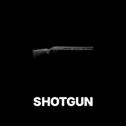 Shotgun