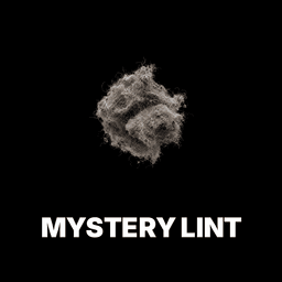 Mystery Lint