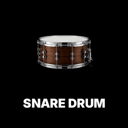 Snare Drum