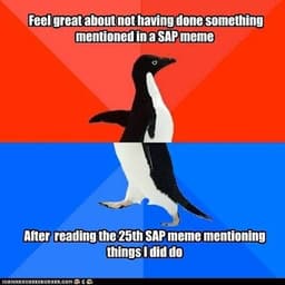 Socially Awkward Penguin