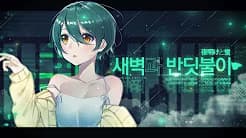 새벽과 반딧불이