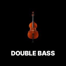 Double Bass