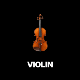 Violin