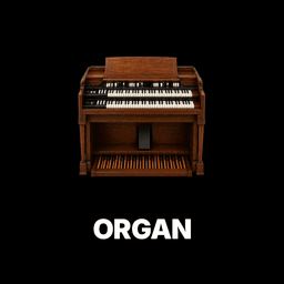 Organ