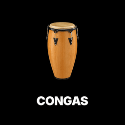 Congas