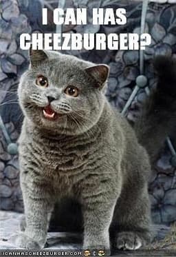 LOLcats