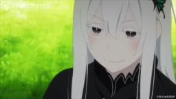 Echidna
