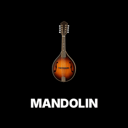 Mandolin