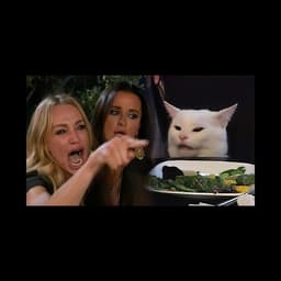 Woman Yelling At Cat