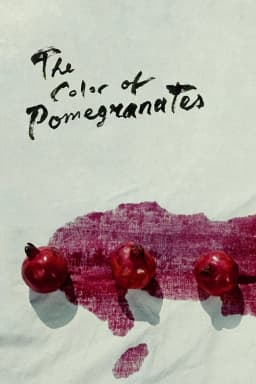 The Colour of Pomegranates