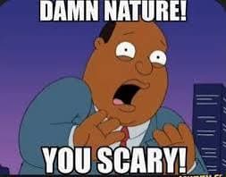 Damn Nature You Scary
