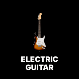 Electric Guitar