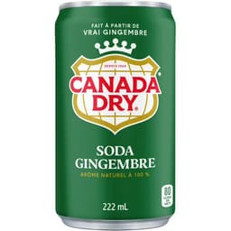 Canada Dry Ginger Ale