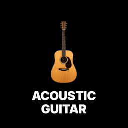 Acoustic Guitar