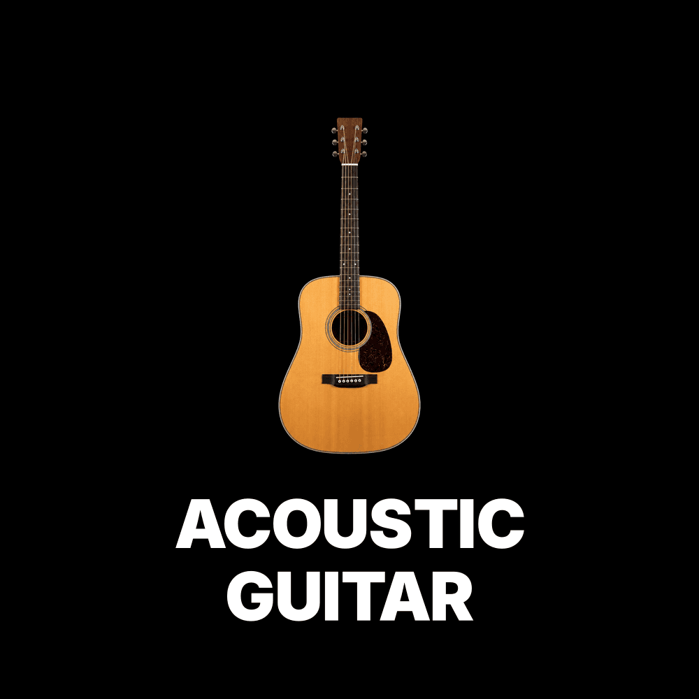 Acoustic Guitar