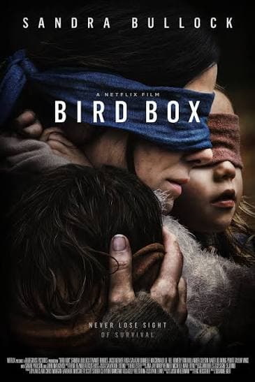 Bird Box