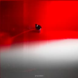 Screenshot_20260717_223046_Spotify