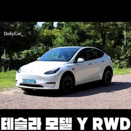 테슬라 모델 Y RWD