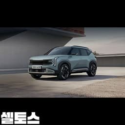 셀토스