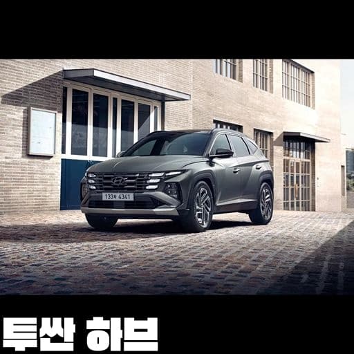 투싼 하브