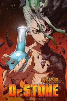 닥터스톤