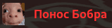ponosbobra